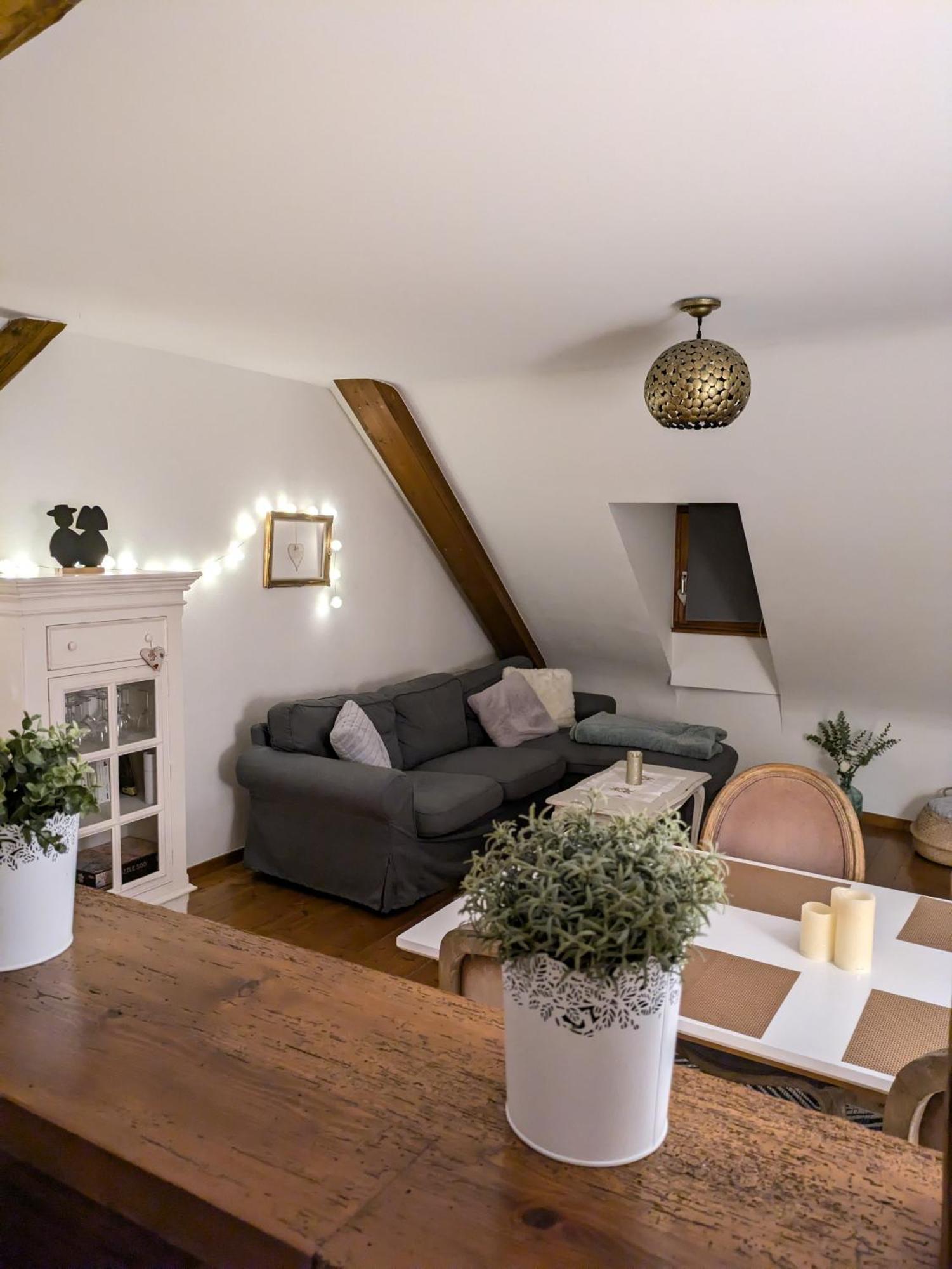 Les Toits De Turckheim Apartment ภายนอก รูปภาพ